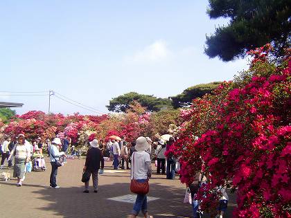 館林・つつじが丘公園