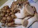 食材