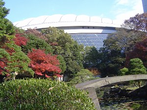 内庭と東京ドーム