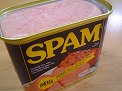 SPAM