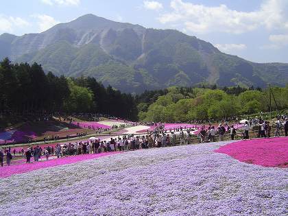 芝桜の丘
